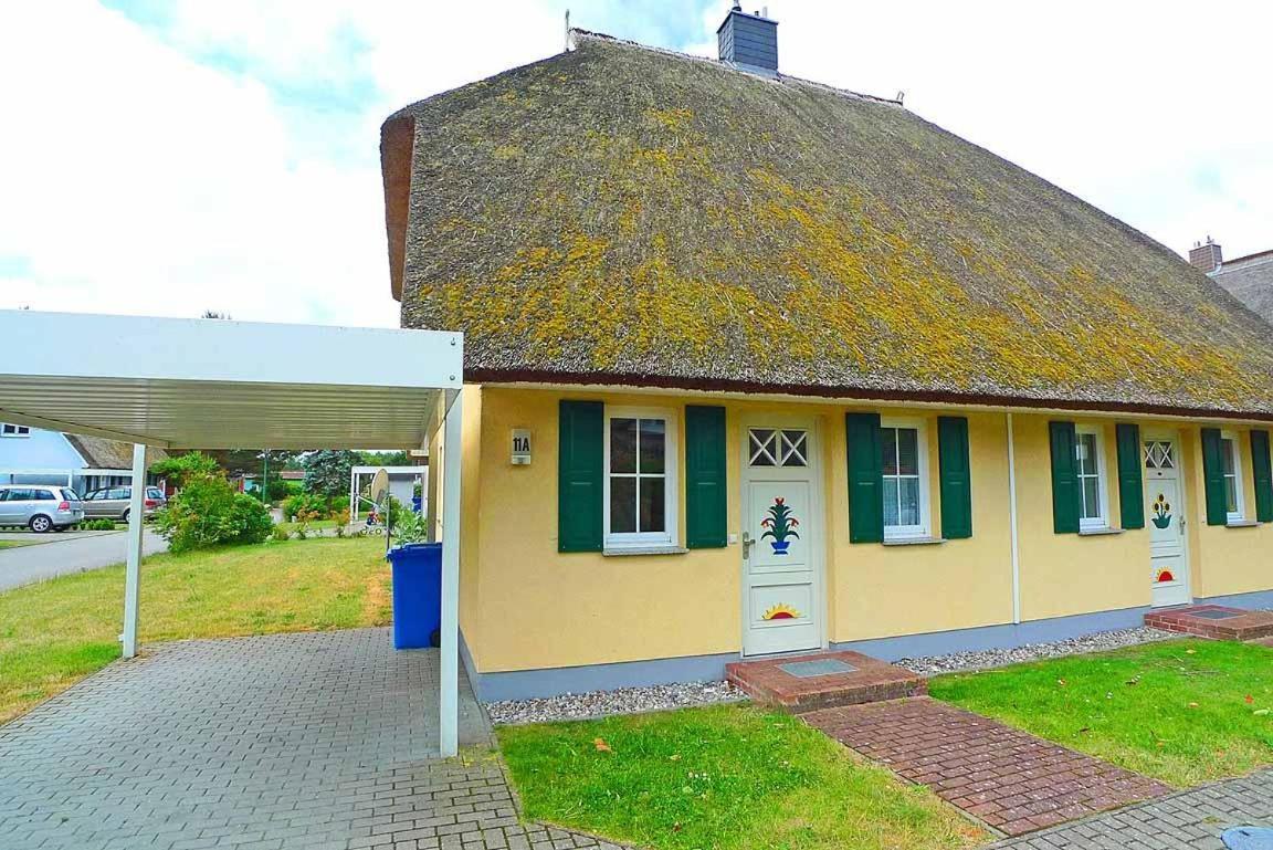 Ferienhaus An Der Alten Waldschaenke Ws-11A Born Esterno foto